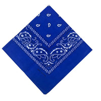 Bandana cheveux bleu
